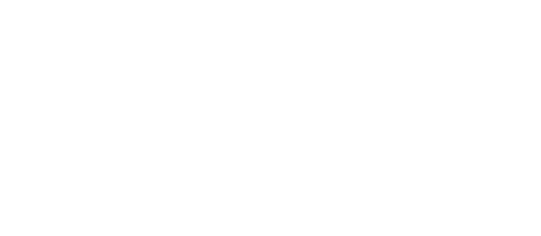 Speed Doctor